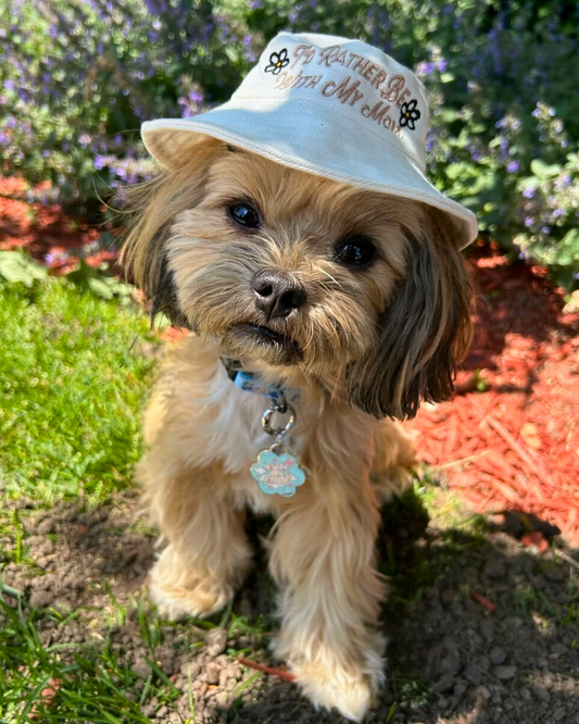 🌸 dog tag - cuteAF flower