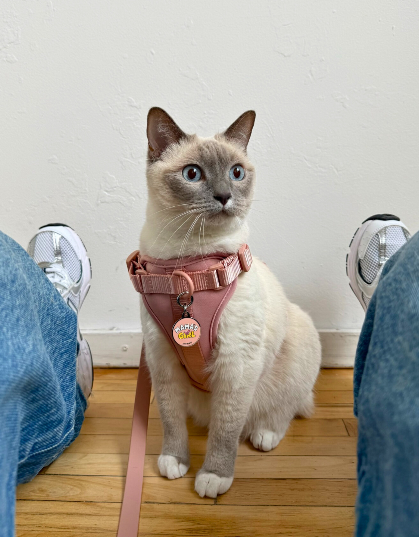 comfort fit dog harness - blush