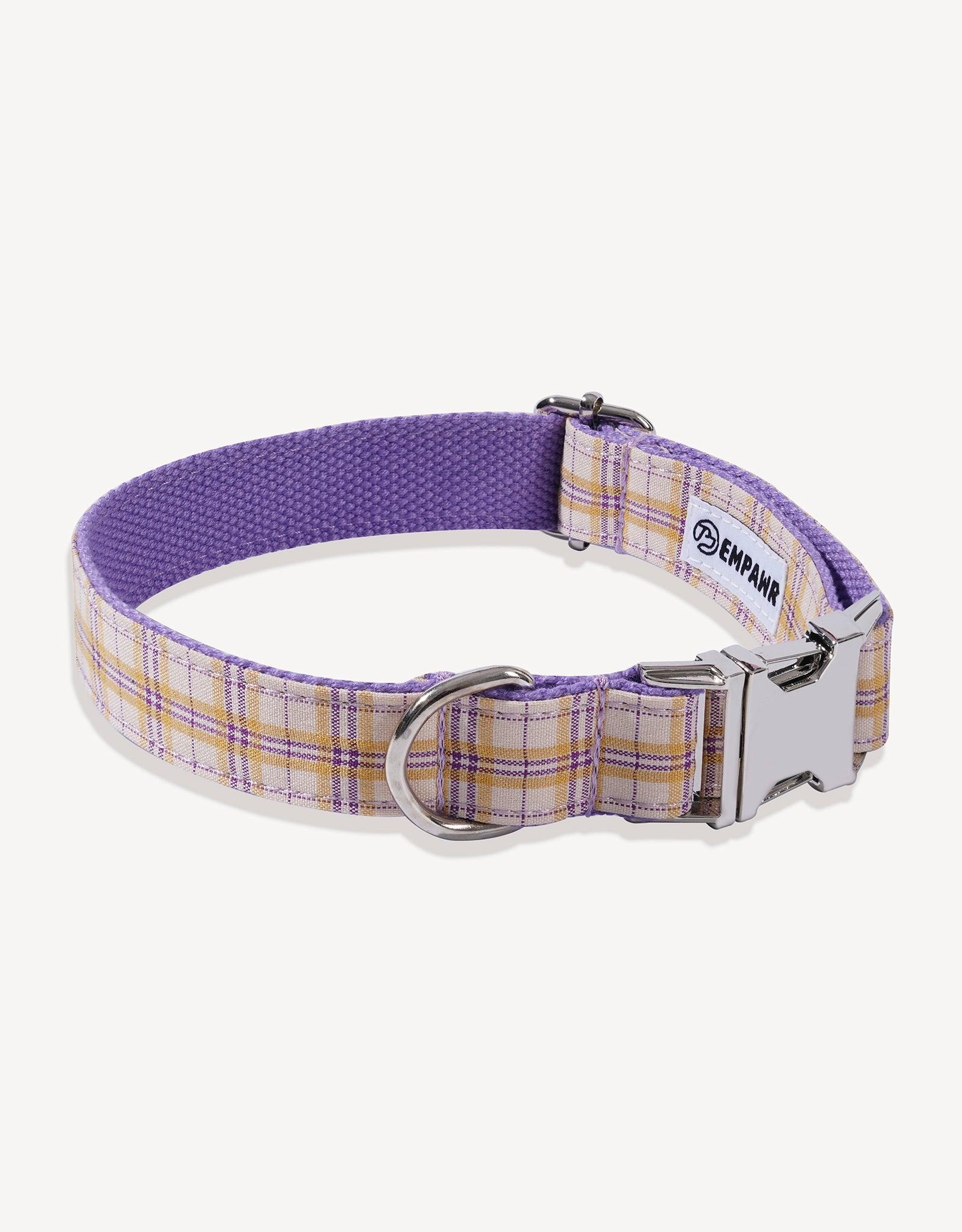 Empawr Preppy Dog Collars  Dog Clothes & Accessories – EMPAWR