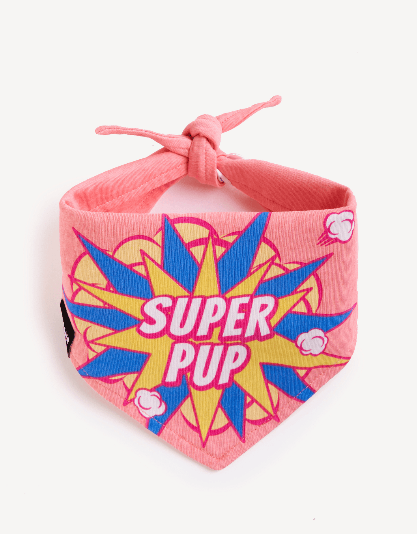 Power Twins Dog Bandana Set - Empawr