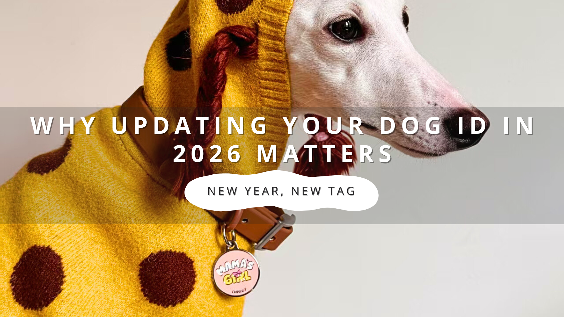 New Year, New Tag: Why Updating Your Dog ID in 2026 Matters