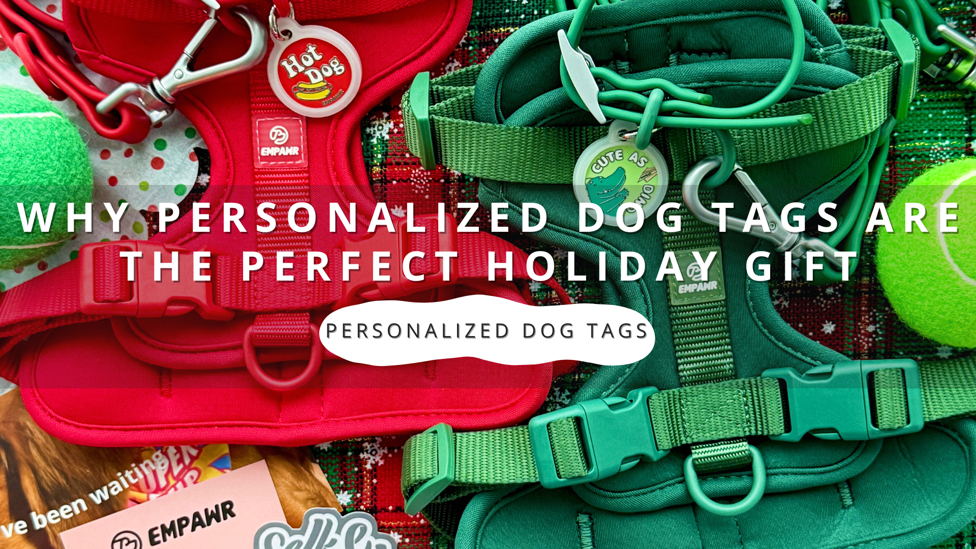 Why Personalized Dog Tags Are the Perfect Holiday Gift