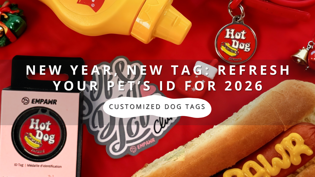 New Year, New Tag: Refresh Your Pet’s ID for 2026
