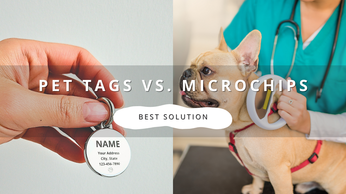 Pet Tags vs. Microchips: Understanding the Best ID Solutions for Your Companion