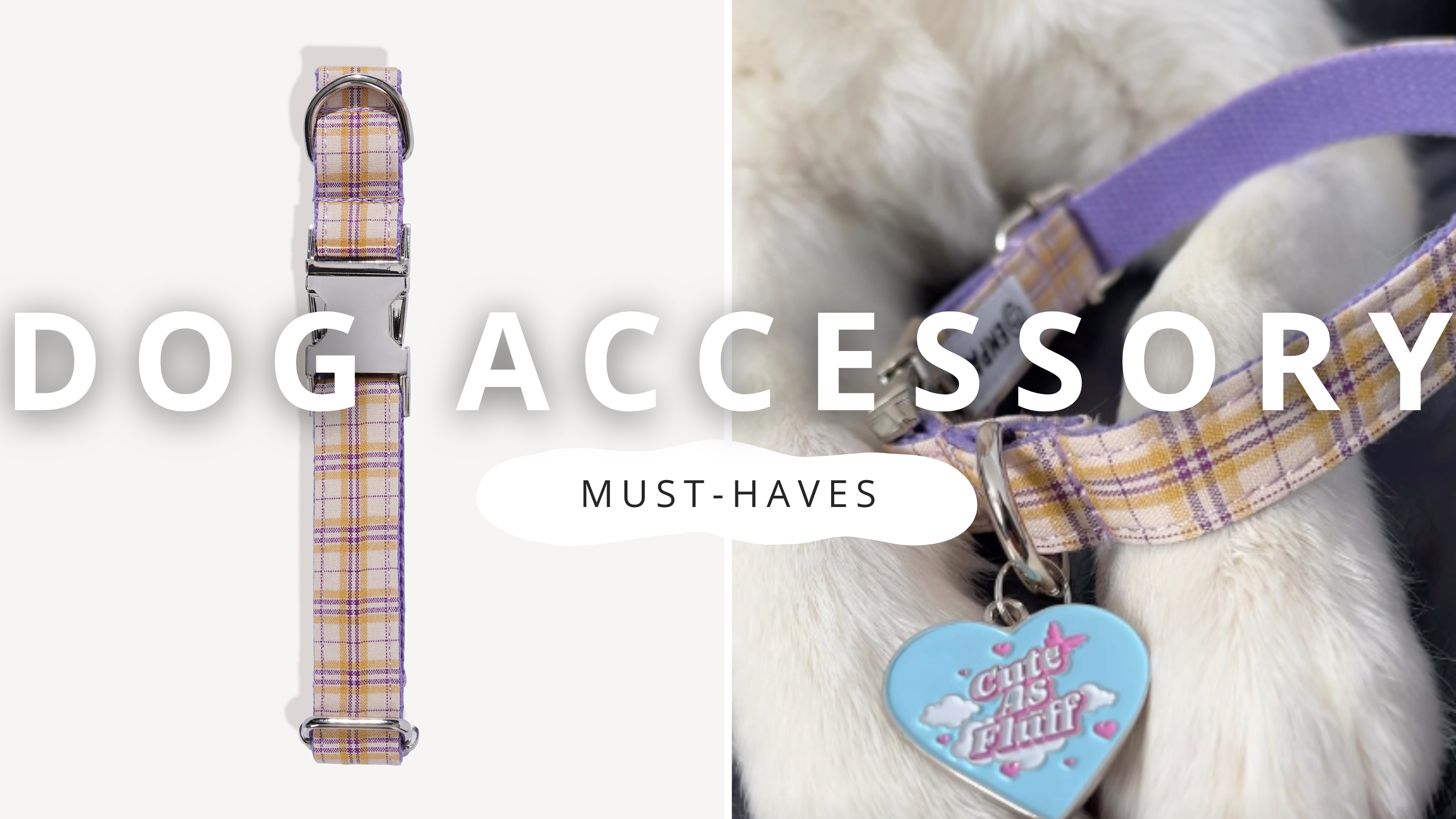 Must-have Dog Accessories | PawrTalk