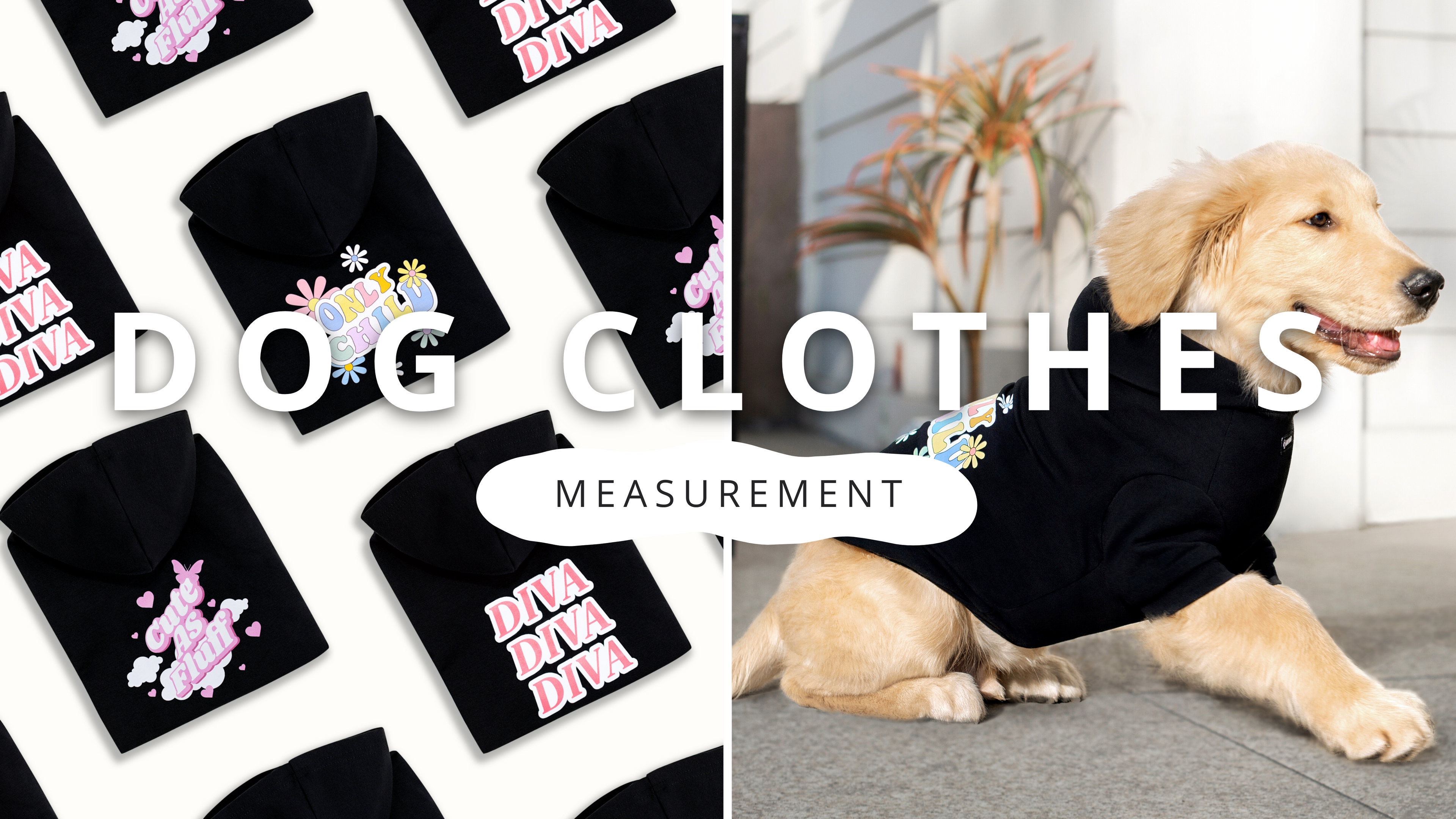 How to Measure Your Dog for Clothes | PawrTalk