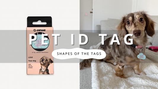 Shapes of the Dog Tags | PawrTalk