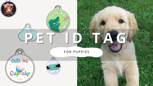 Puppy ID Tags: Safety & Style | PawrTalk