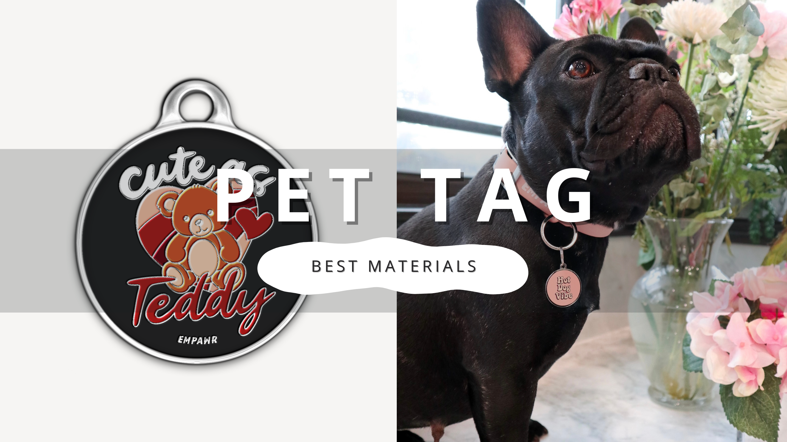 Choosing the Best Material for Pet Tag | PawrTalk
