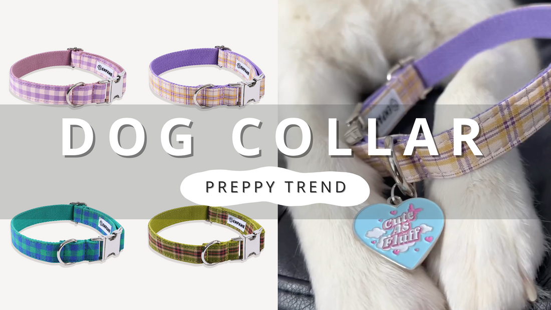 The Preppy Dog Collar Trend | PawrTalk