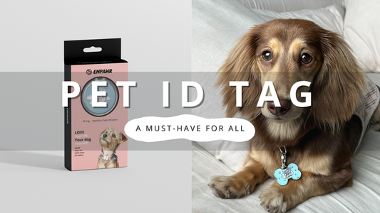 Pet ID Tag: A Must-have | PawrTalk