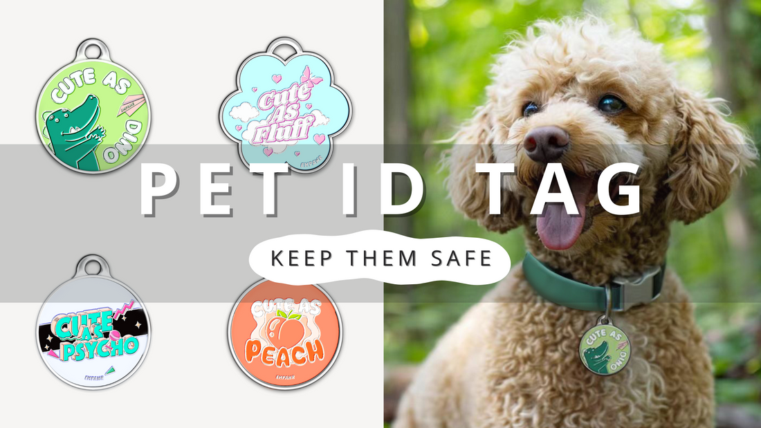 Pet Safety Must-Have: ID Tags Explained | PawrTalk