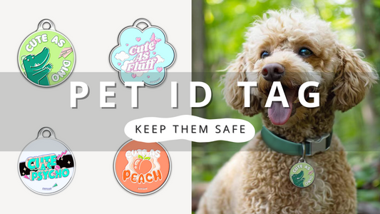 Pet Safety Must-Have: ID Tags Explained | PawTalk