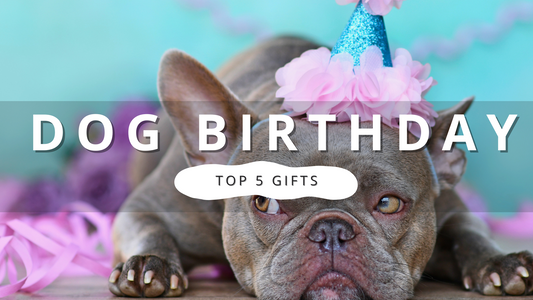 Perfect Birthday Gifts for Your Dog: Top 5 Picks