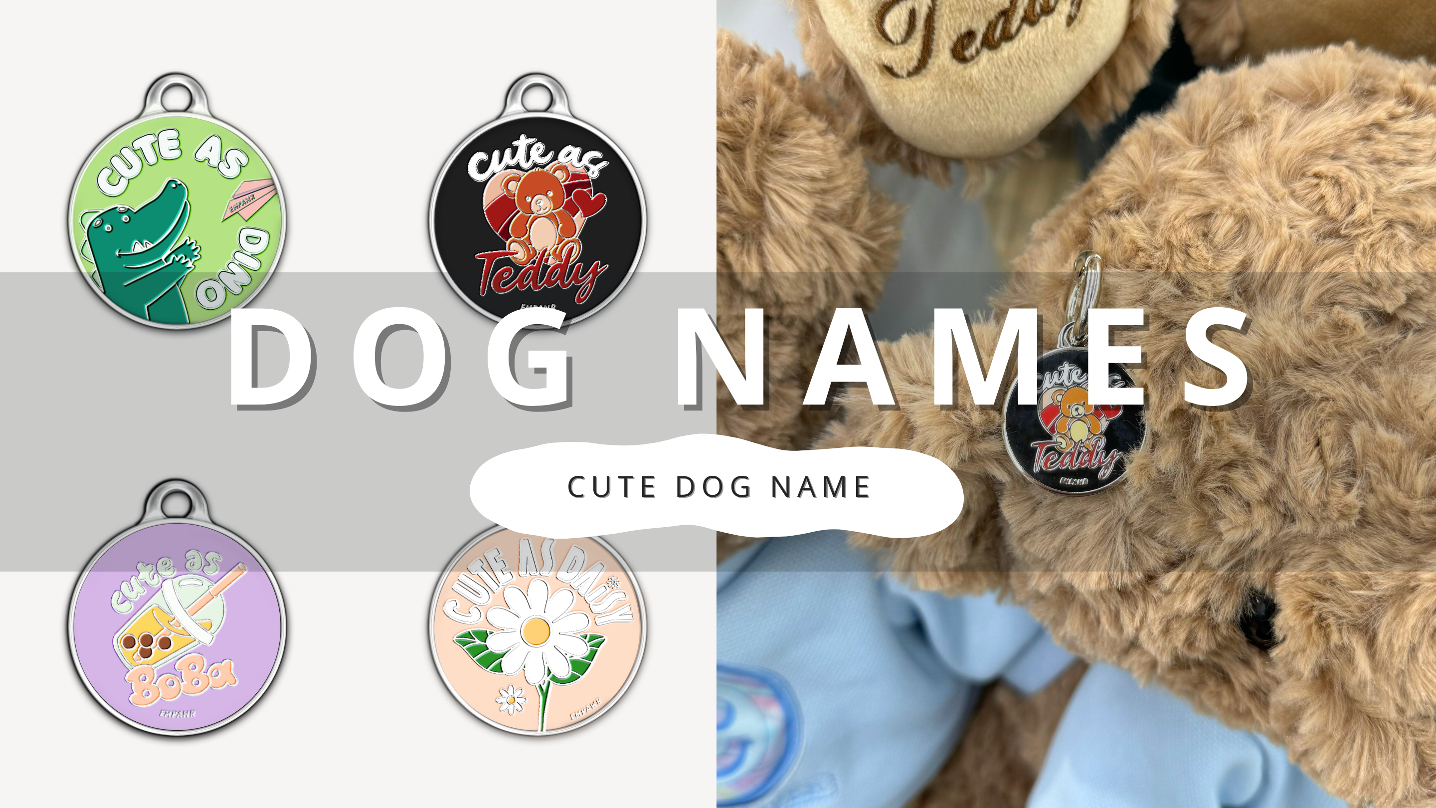 How to Choose Cute Dog Names | PawrTalk