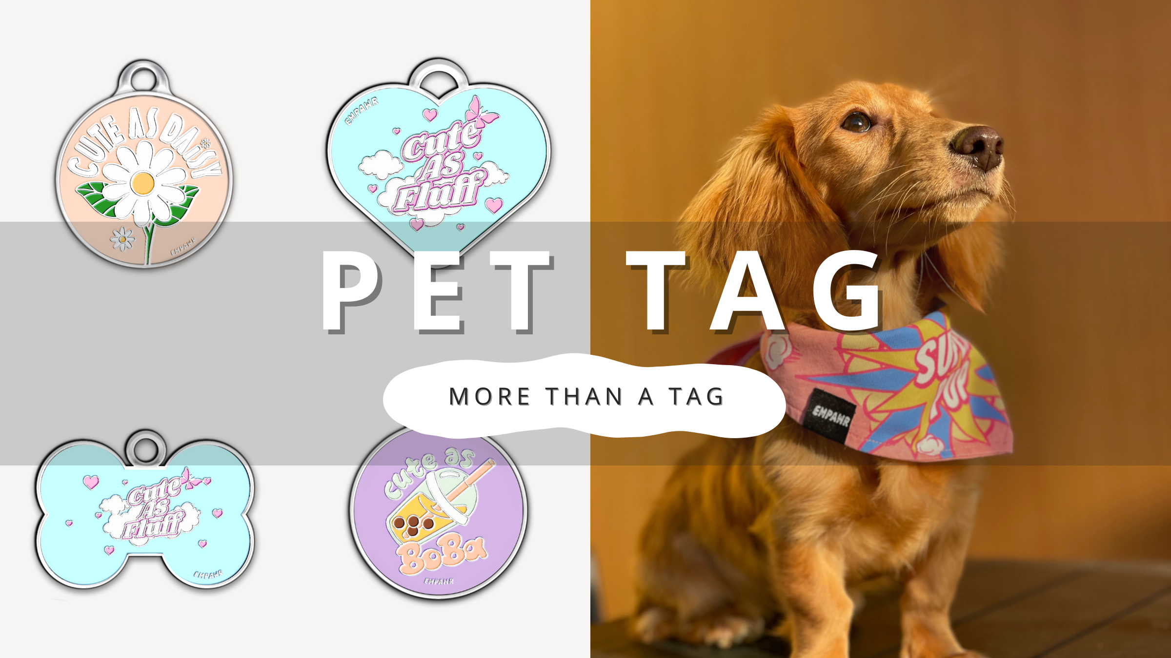 More Than A Pet ID Tag | PawrTalk