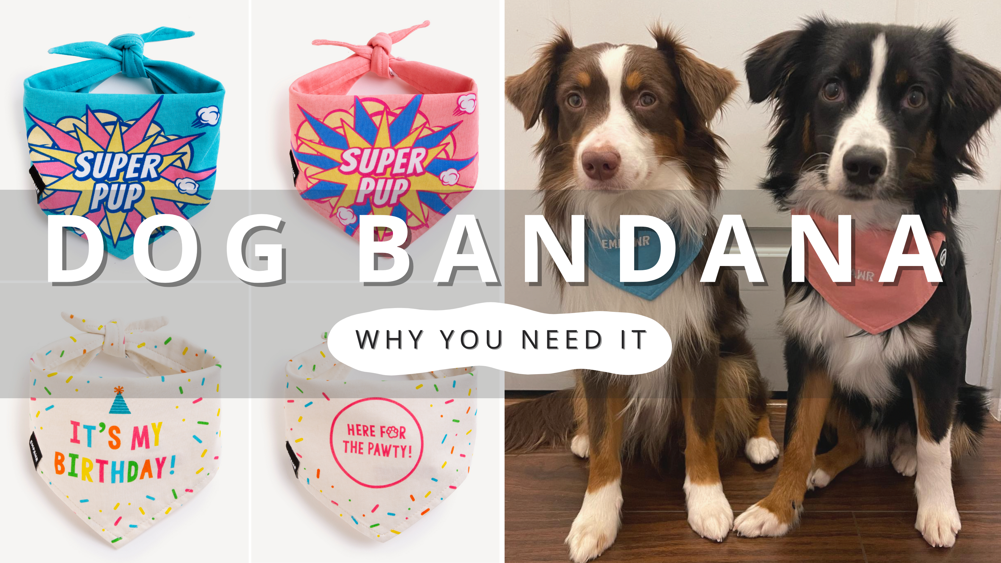 5 Reasons Why Your Dog Needs a Bandana | PawrTalk