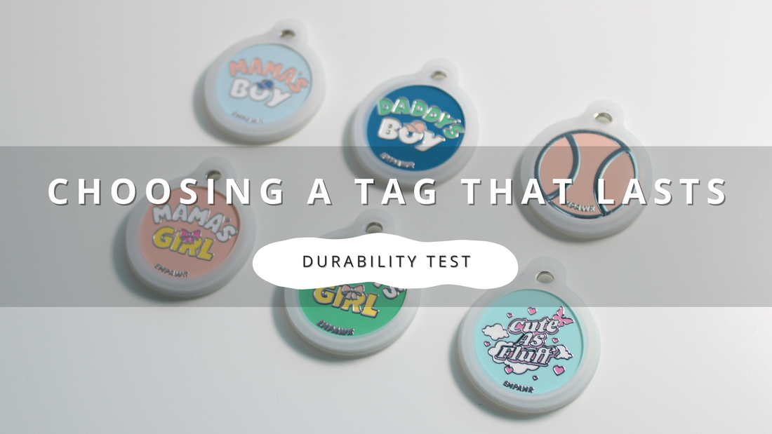 The Durability Test: Choosing a Dog Tag That Lasts