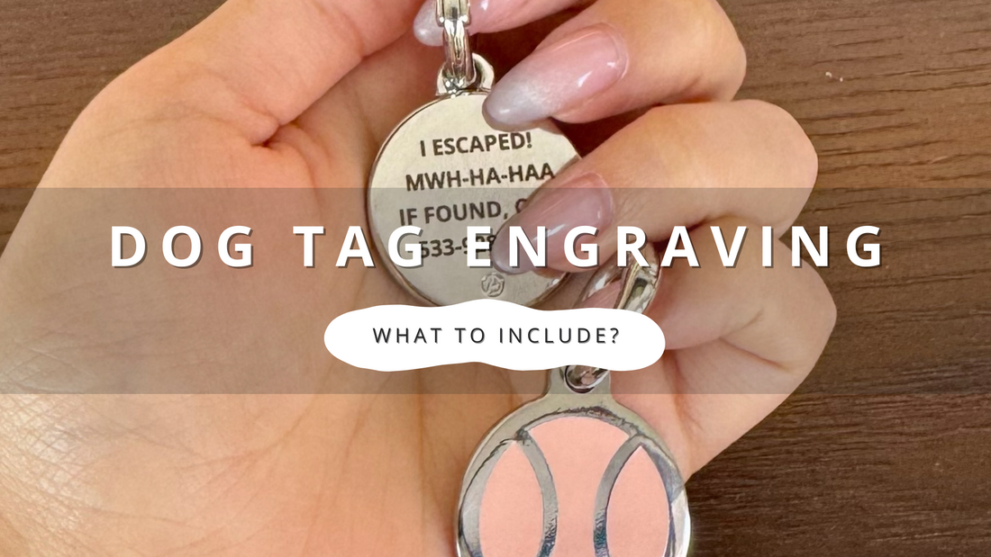 Custom Dog Tag Name Engraving: What Information Should You Include?