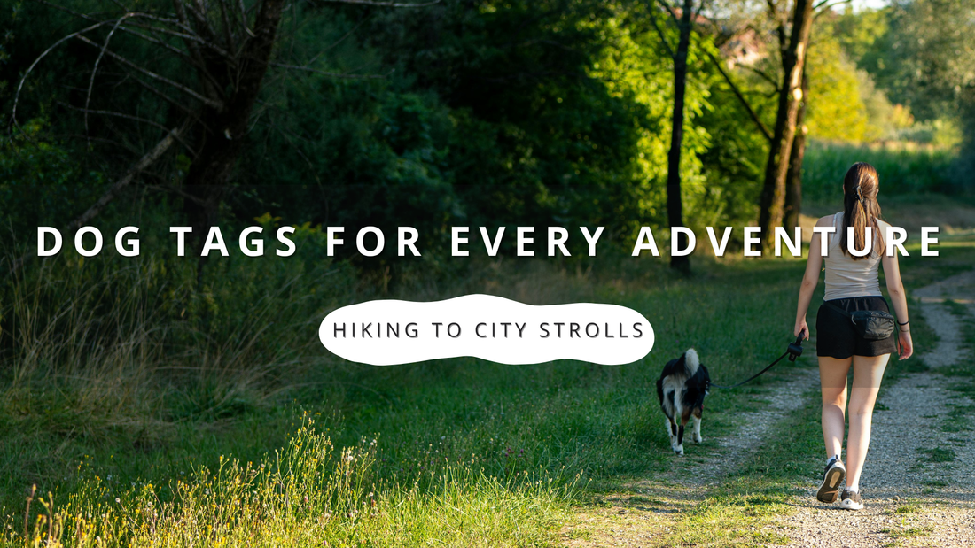 Dog Tags for Every Adventure: From Hiking Trails to City Strolls
