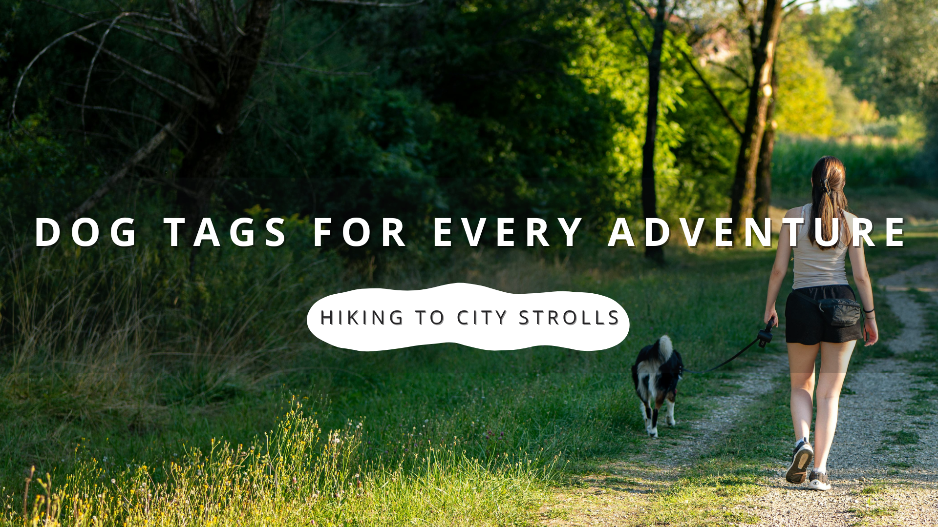 Dog Tags for Every Adventure: From Hiking Trails to City Strolls