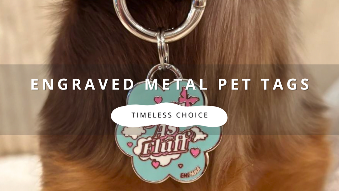 Engraved Metal Pet Tags: A Timeless Choice for Your Beloved Companion