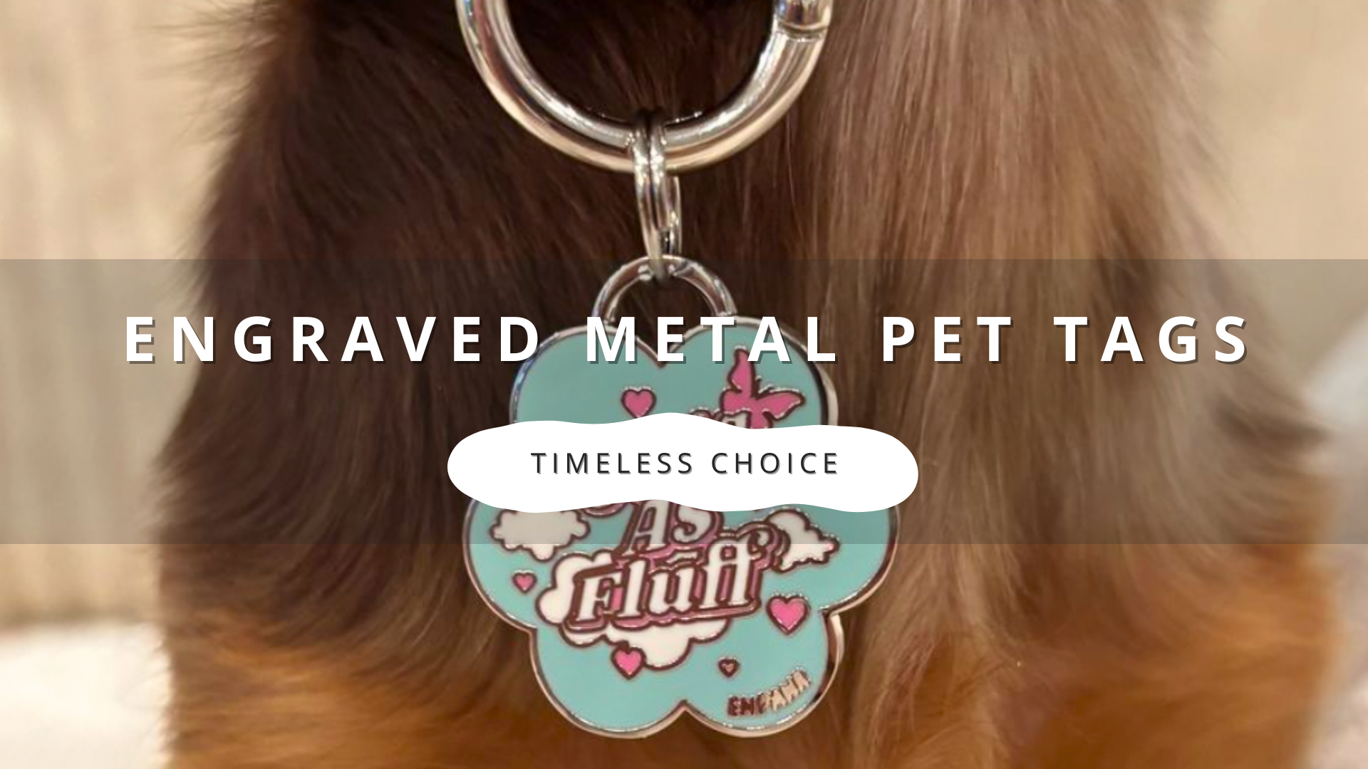 Engraved Metal Pet Tags: A Timeless Choice for Your Beloved Companion
