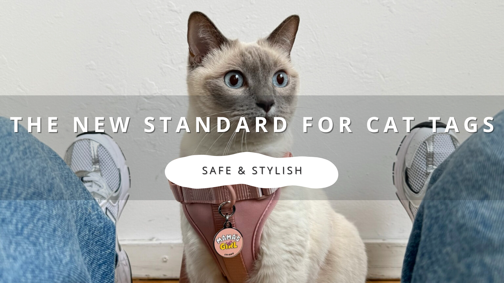 Safe and Stylish: The New Standard for Cat Tags