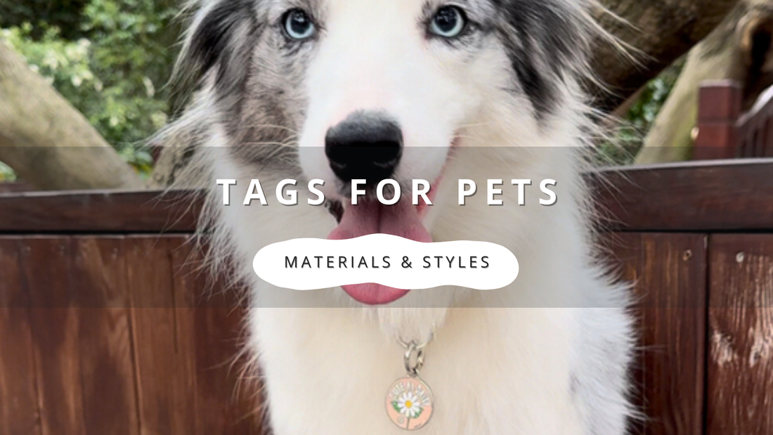 Tags for Pets: The Best Materials & Styles