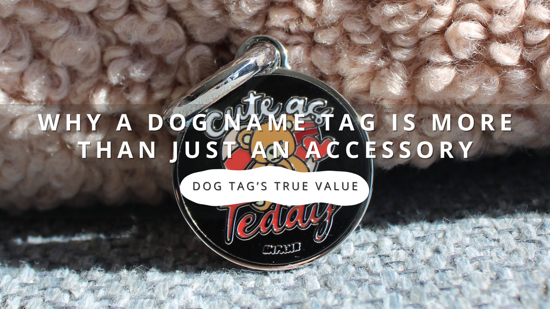 Why a Dog Name Tag is More Than Just an Accessory: Its True Value