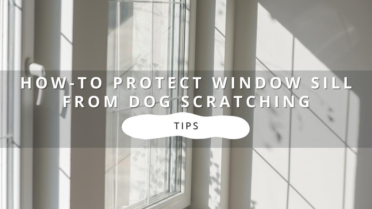 A close-up of a window sill with shadows cast across it from window blinds.