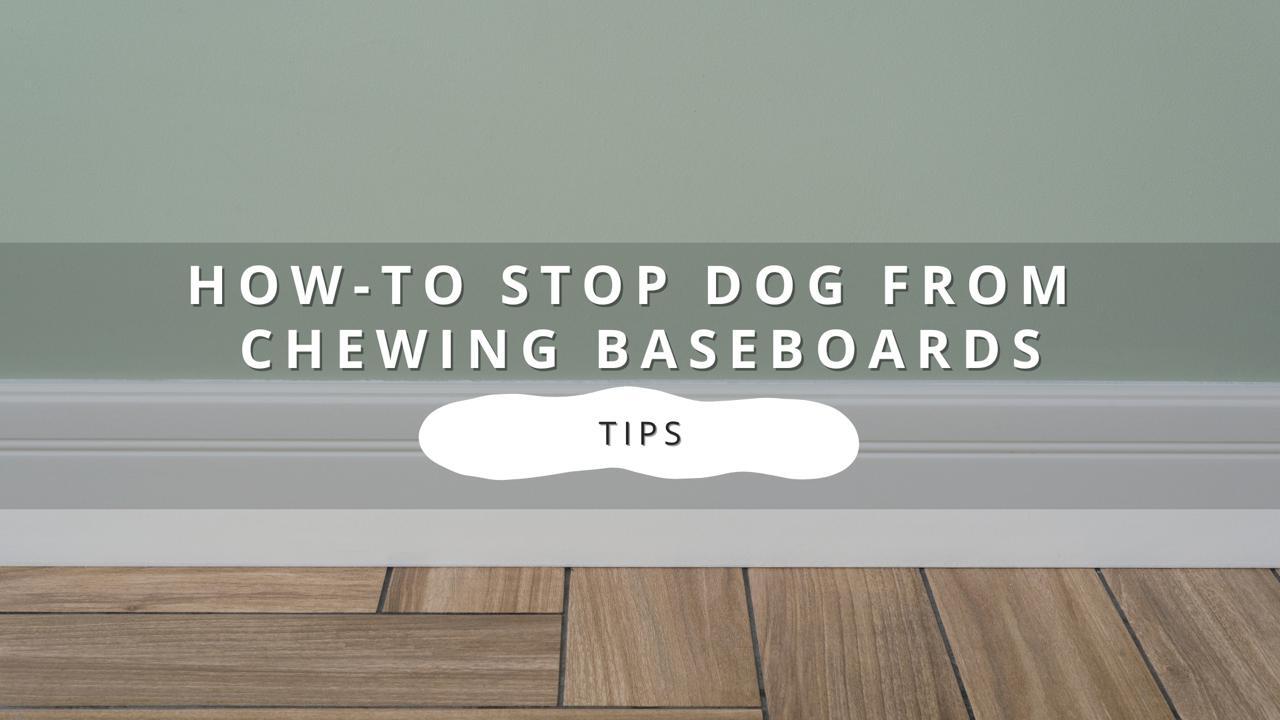 Image with text "HOW-TO STOP DOG FROM CHEWING BASEBOARDS" and "TIPS" below.