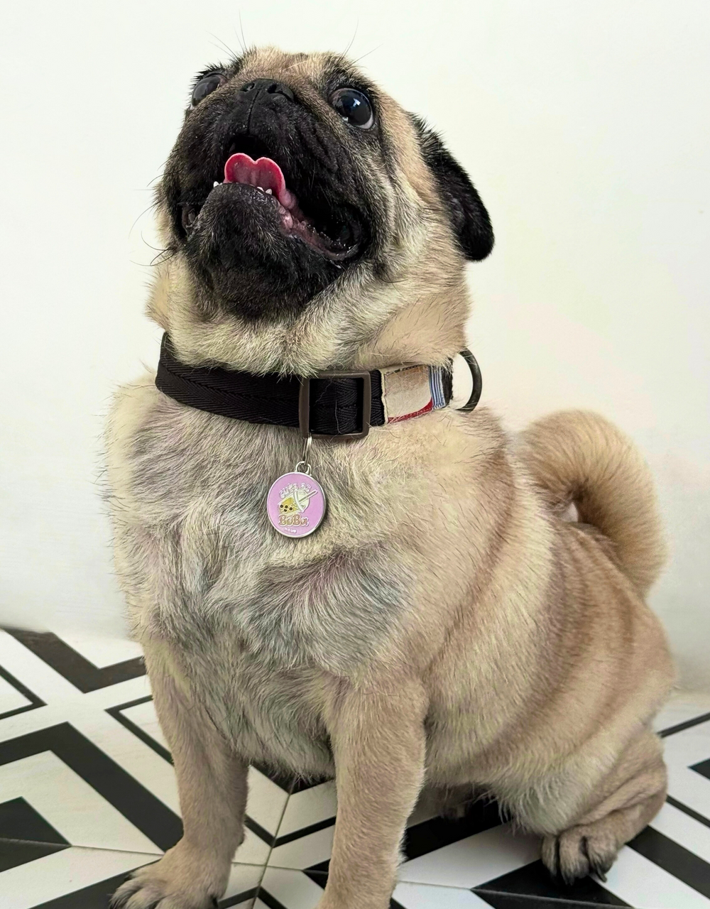 🧋 dog tag - cute as boba