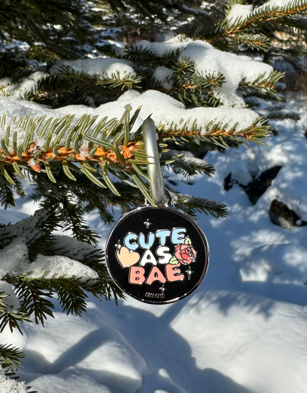 🖤 dog tag - cute as bae