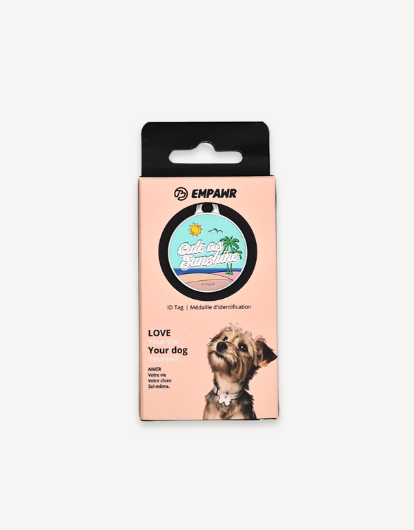 🌞 dog tag - cute as sunshine