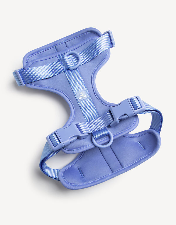 harness walk kit - sky