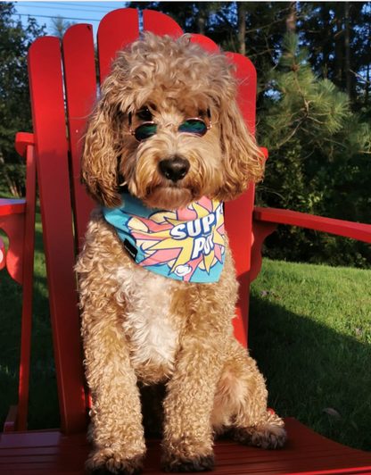 reversible dog bandana - super pup blue