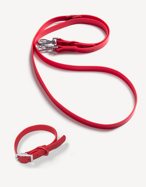 city walk kit - cherry