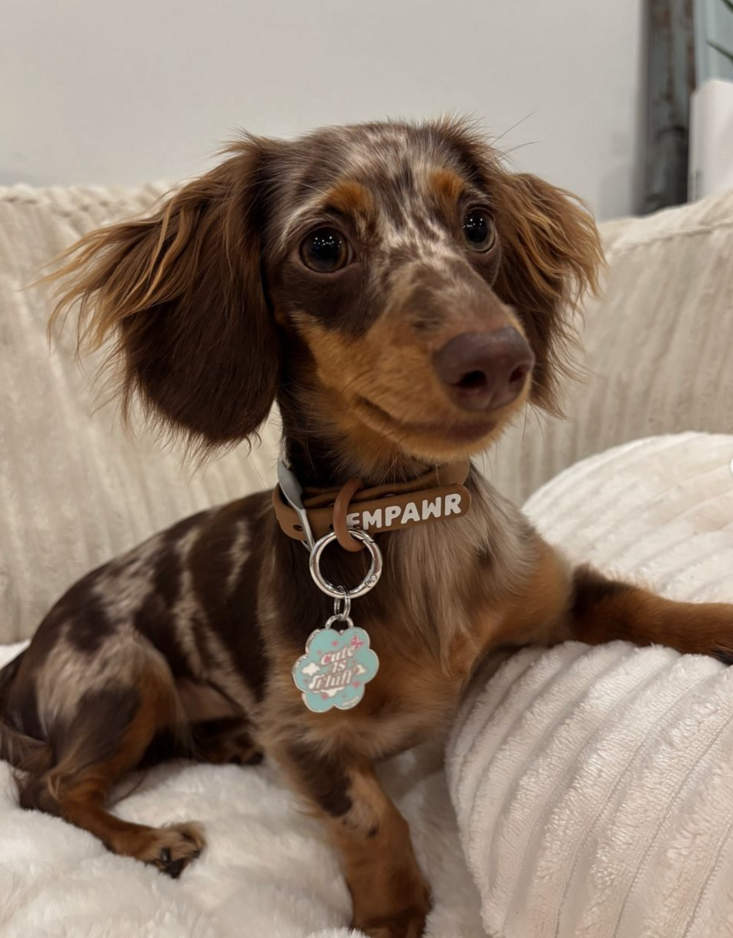 🌸 dog tag - cuteAF flower