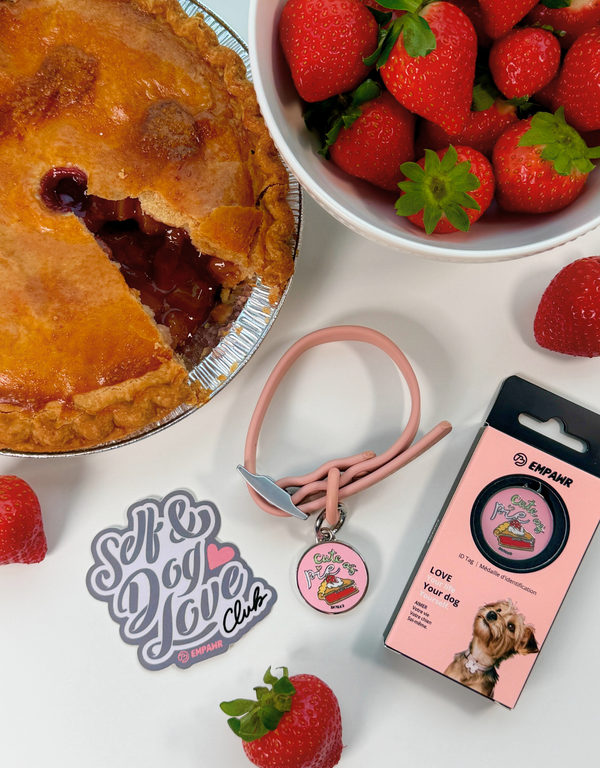 sweet blush pie set 🥧💖