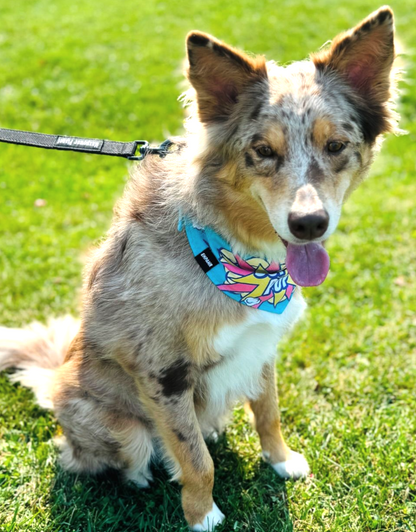 reversible dog bandana - super pup blue