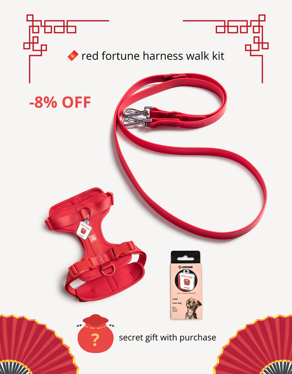 🧧 red fortune kit - ID tag, harness & leash