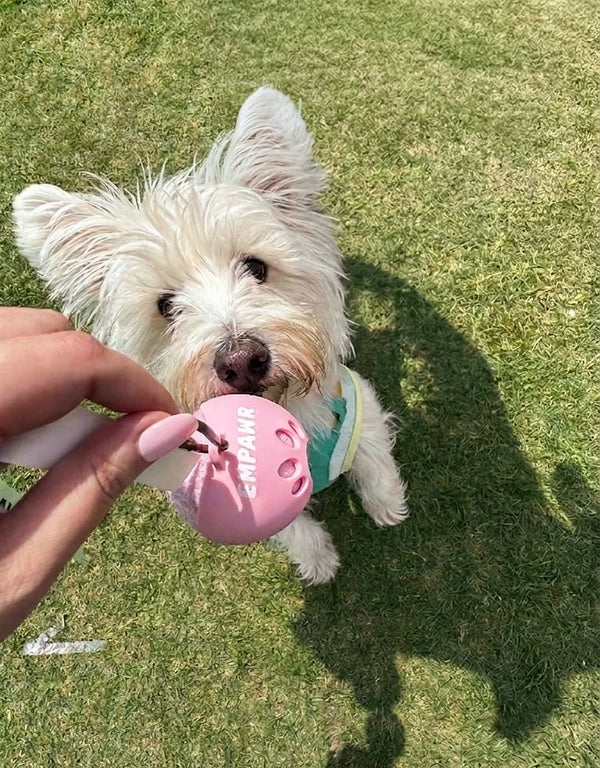 Tennis Ball Holder