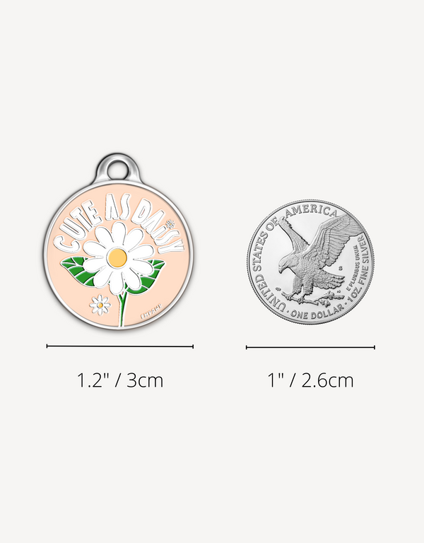 🌼 dog tag - cute as daisy
