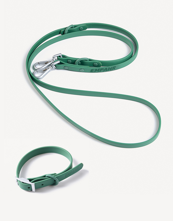 city walk kit - green