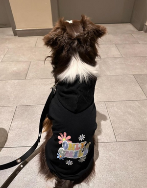 only child dog hoodie