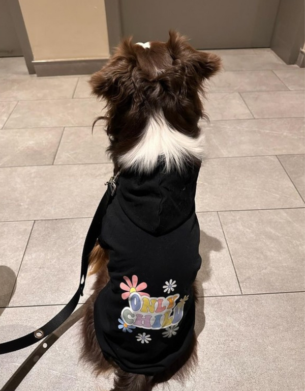 only child dog hoodie