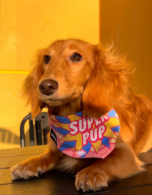 reversible dog bandana - super pup pink