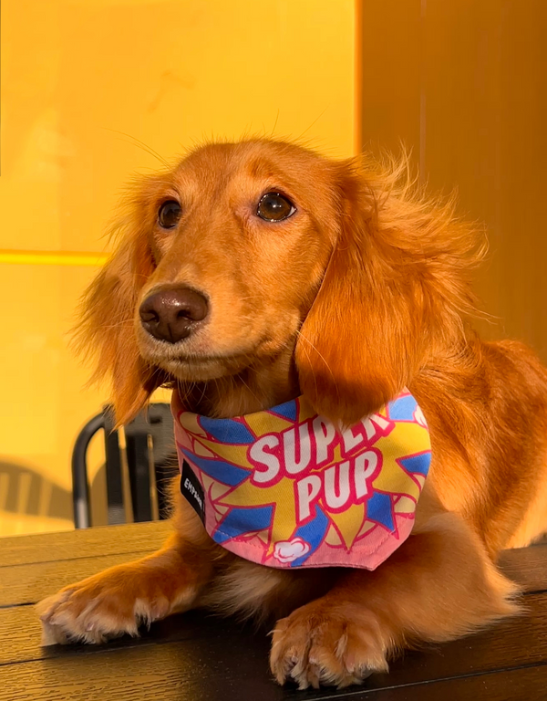 reversible dog bandana - super pup pink