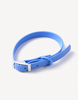 city dog collar - sky